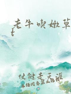 老牛吃嫩草txt