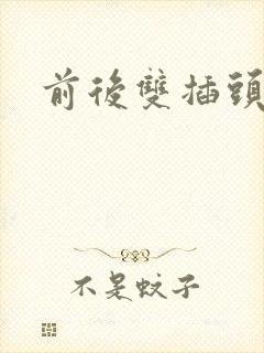 前后双插头互攻