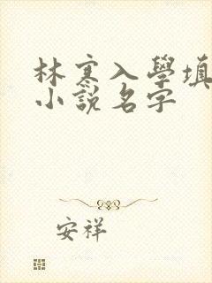 林寒入学填未婚小说名字