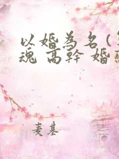 以婚为名 (军魂 高干 婚恋)