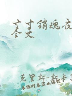 寸寸销魂夜春光全文