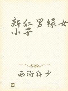 新红男绿女之坏小子