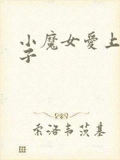 小魔女爱上皇太子