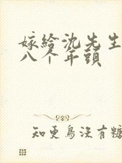 嫁给沈先生的第八个年头