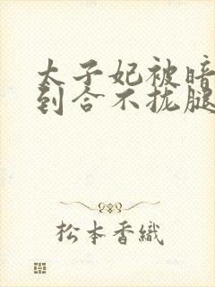 太子妃被暗卫c到合不拢腿