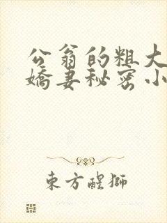 公翁的粗大放进娇妻秘密小说