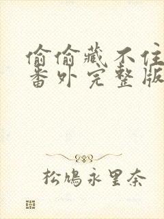 偷偷藏不住新婚番外完整版