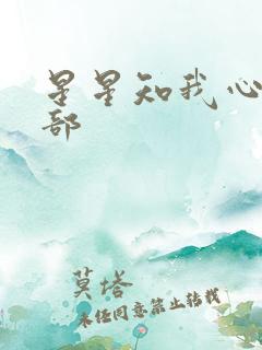 星星知我心第二部