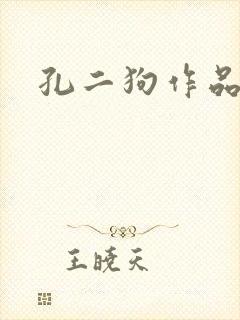 孔二狗作品