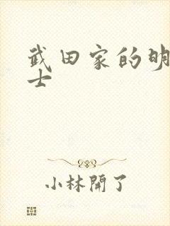 武田家的明国武士