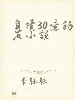 负债30亿的男友小说