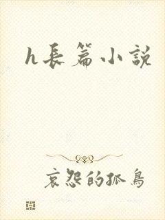 h长篇小说