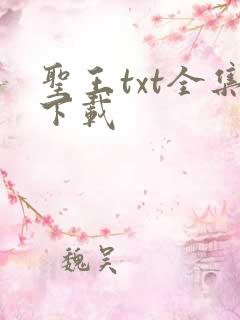 圣王txt全集下载