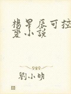 杨星辰可控核聚变小说