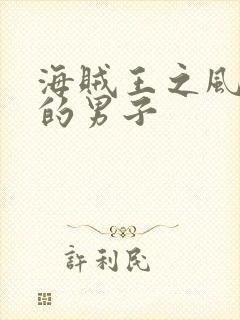 海贼王之风一样的男子