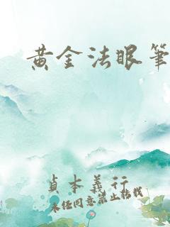 黄金法眼笔趣阁