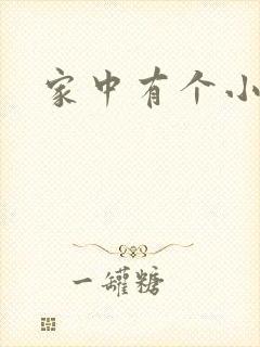 家中有个小姨子