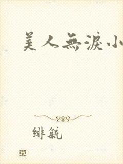 美人无泪小说