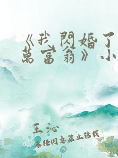 《我闪婚了个亿万富翁》小说