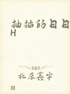 抽插的日日液液H