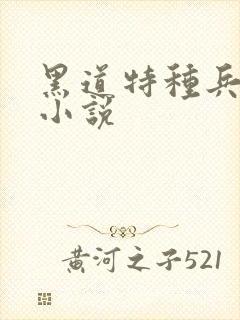 黑道特种兵有声小说