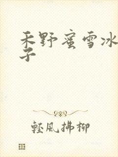 禾野蜜雪冰城本子