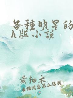 各种明星的综艺h版小说