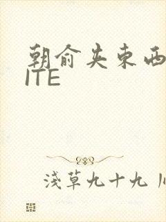 朝俞夹东西WRITE