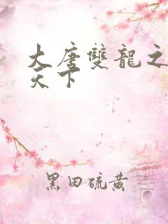 大唐双龙之无敌天下