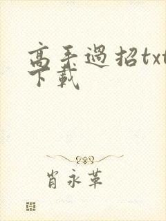 高手过招txt下载