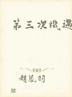 第三次机遇