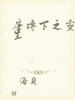 唐砖下之灵域双生