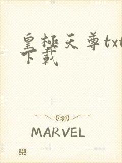 皇极天尊txt下载