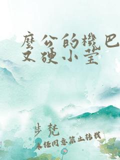 么公的机巴又粗又硬小莹