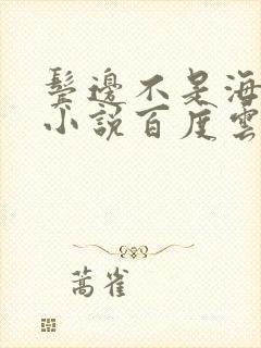 鬓边不是海棠红小说百度云