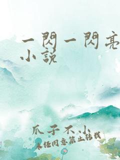 一闪一闪亮星星小说