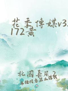 花季传媒v3.172黄