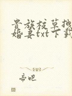 贵族校草拽拽未婚妻txt下载