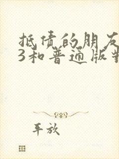 抵债的朋友麦子3和普通版对比