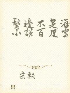 鬓边不是海棠红小说百度云