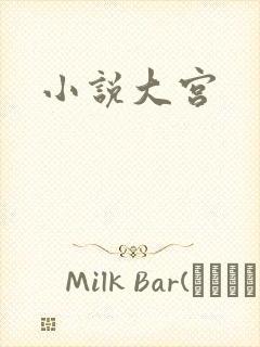 小说大宫