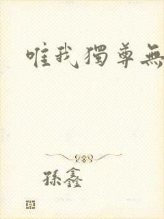 唯我独尊无弹窗