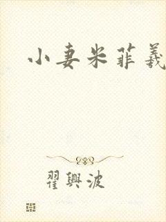 小妻米菲羲捷