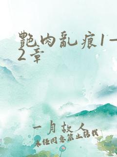 艳肉乱痕1—12章