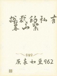 总裁的私有宝贝 暮山紫