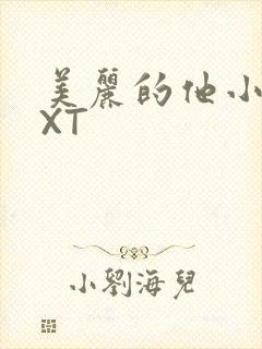 美丽的他小说TXT