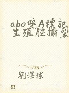 abo双A标记生殖腔撕裂