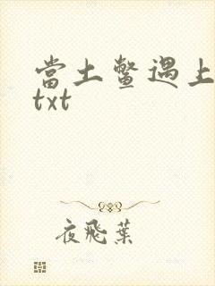 当土鳖遇上海龟txt