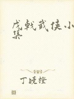 戊戟武侠小说全集