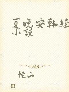 夏晚安韩经年的小说
